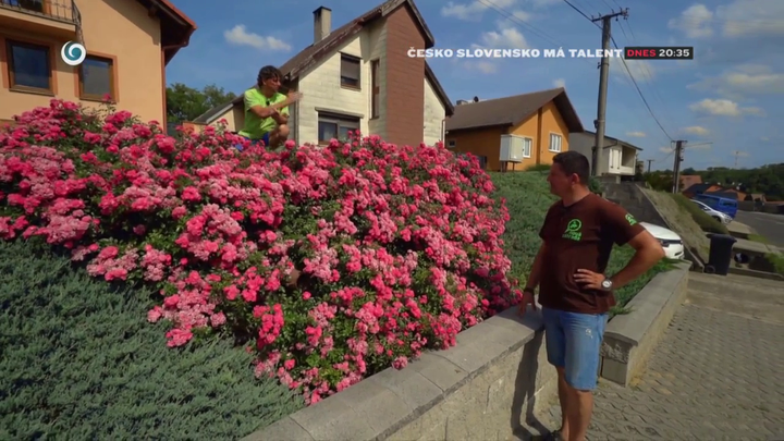 Nova zahrada - svahovita zahrada